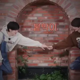 I CAN'T FORGET THIS ERA #yeongyu #yeonjun #beomgyu #txt 
