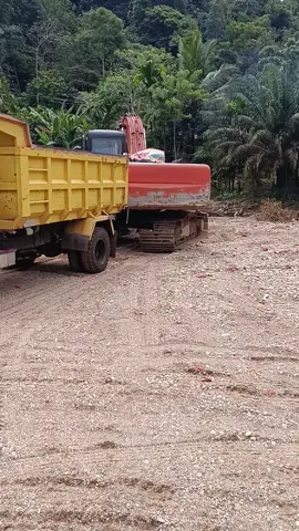 #tangiangnidamangdainang  #fyp  #lagubatak  #bataktoba  #panbers 