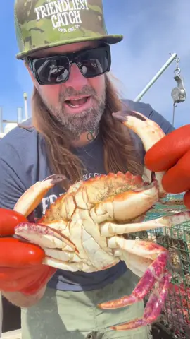 Sea Lice & Soft Crab, Commercial Fishing & Crabbing on the Friendliest Catch Boat. Sustainable & Humane Fishing methods. #fyp #seafood #bigfish #rockhold #fish #saltwaterfishing #crab #friendliestcatch 