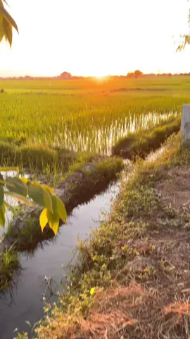 #pangasinan #tiktok #philippines #sunset #sunsetlover #views 