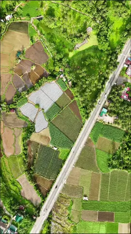 Lucban, Quezon Province DJI Mini 4 Pro #dji #djimini4pro #djicreator #filmmaking #videography #dronephotography #fyp #foryou 