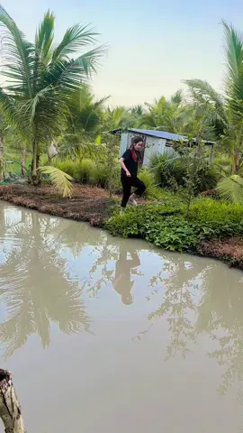 Bình yên không phải là trong túi có quá nhiều tiền, mà bình yên là khi bản thân mình biết đủ.  #fyp #stt#xuhuongtiktok #trending #mientay #quehuong #mientaysongnuoc #cánheplangque #84travinh 