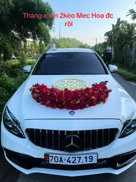 Show cưới cuối tuần, cuối tháng.  Phải chi tháng nào cũng 2show Mec thì còn gì tuyệt vời hơn nữa.  #dịchvudulich #70tayninh #mec #xehoacuoihoi 