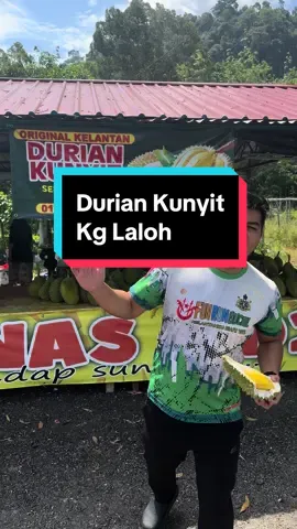 Ramai Tnyo Lokasi Mano Kedai.,Kito Oyat Doh tuuu #review #duriankunyit #musangking #fruit 