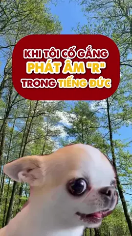 Cay thế nhở ai phát âm được khôngg???#tiengduc #duhocngheduc #duhocduc #duhoc #education #LearnOnTikTok #germangreatwaygroup #germangreatway #deutschland🇩🇪 #trending #hoctiengduc #giaotiep #giaotieptiengduc #meme #funny 