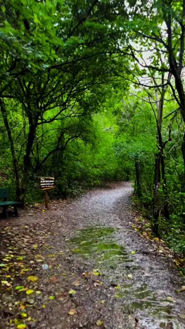 Margalla Hills Trail 5 Islamabad📍🇵🇰 #margallahills #trail5 #trail5_islamabad #islamabad #pakistan 