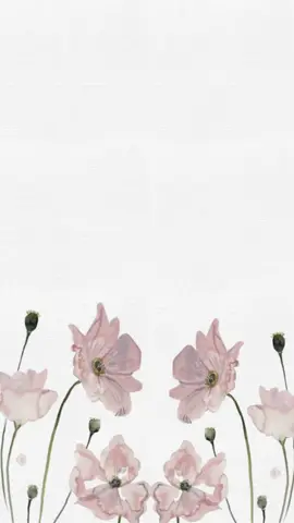 #بشارة_عمه#بشارة_عمه_مولوده #بشارة_عمات #بشارة_عمة #سمي_عمه #بشارة_مولودة #بشارة_مولود_جديد #بشارة_عمات_المولوده #بشارة_عمات_خالات #بشارة_مولودة #بشارة_حفيدتي_#أهلا_بمن_أصبحت_لها_عمه #بشارة_حفيديتي_حفيدي 