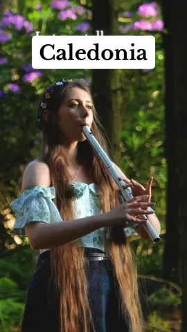 Thank you for all the love on my new music video, ‘Caledonia’ by Dougie MacLean 🎶🏴󠁧󠁢󠁳󠁣󠁴󠁿 it’s wonderful to read all your lovely comments 🙏☺️ Don’t forget to check out the full video on YT if you haven’t already 🎶 #caledonia #tinwhistle #nature #celtic #Scotland #fyp #foryoupage #foryou 