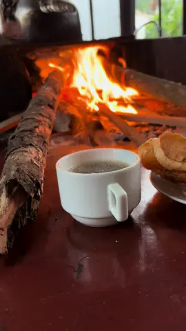 Baooo diaaa ☕️🏡🚜🐓🌳🌾🐄👨‍🌾#fogaoalenha #roca #campo #mato 