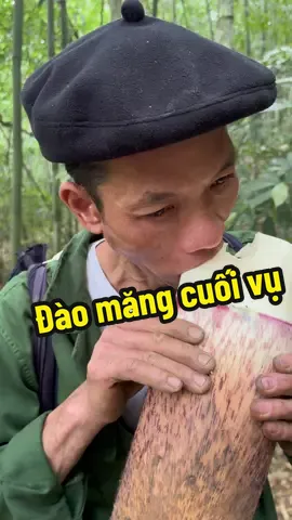 Một buổi đào măng cuối vụ và nhưng điều thú vị trong rừng vầu.#thaoduoc #thaoduocdantoc #thaoduocdantoccaolan #thaoduocdongbac #LearnOnTikTok #chuthanhthaoduocdongbac 
