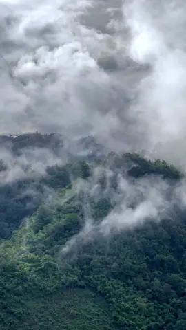 ให้ธรรมชาติเยียวยาจิตใจ 🍃⛰️🌳 #สดชื่น #ธรรมชาติบําบัด #บรรยากาศดี 