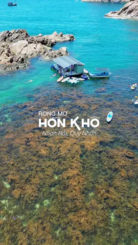 mùa Rong mơ Hòn Khô những ngày cuối tháng 6📍Nhơn Hải, Quy Nhơn, Bình Định #travel #traveltiktok #travellife #fyp #travelvietnam #LearnOnTikTok #quynhon #beachvibes #honkho 