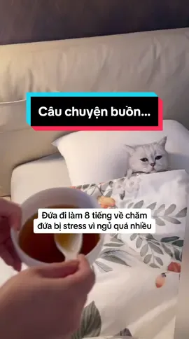 Nhiều cái không muốn nói . . . #xuhuong #fyp #viral 