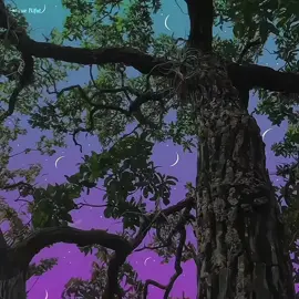 দেখাও কত রঙিন ও ছবি । ছবির আশাই হারাইলাম সবই .... #status #line #caption #foryou