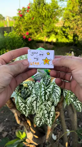 My STAR✨ #star #presentinhos #feitoamão #fyp #giftidea #romantico #namorados 