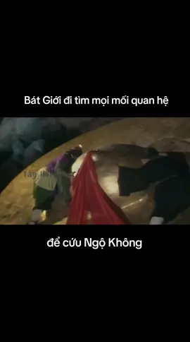 Bát Giới đi tìm mọi mối quan hệ để cứu Ngộ Không #tayhai #phimhay #thienbongnguyensoai #batgioi #trendingvideo #ngokhong #review #tonngokhong #tayduky1986 #viral  #daithienbong #xuhuongtiktok 