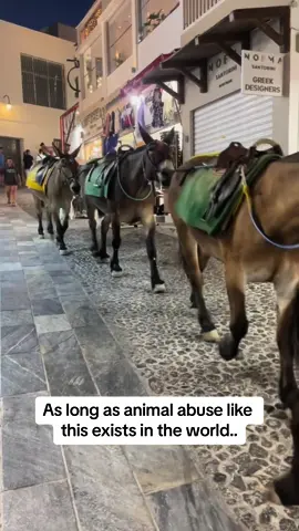 Please donate to our GoFundMe to help us care for our rescued animals🥹 #animalsanctuary #donkey #rescue 