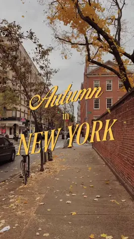 in case you’ve never had the chance to experience it for yourself, or you just need a virtual escape from the relentless summer heat; this is what autumn in new york feels like… 🍁🌇🍂✨ shot on iphone 4k at 30fps #ethanbarberco #autumninnewyork #newyorkcity #centralpark #upperwestside #uws 