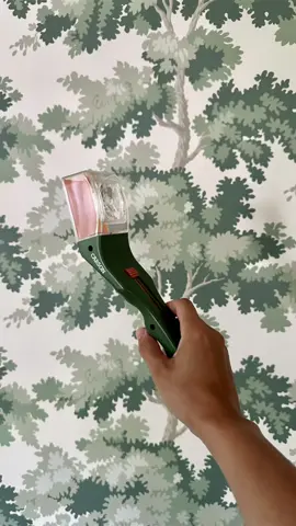 Anyone else feel like they’re starring in the movie A Bug’s Life or is it just me?  #bugcatching #coolgadgets #bugs #homegadgets #bugcatcher 