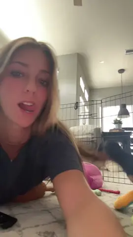 the cause of my breakage 😍🥰 #fyp #minidachshund #WIENER