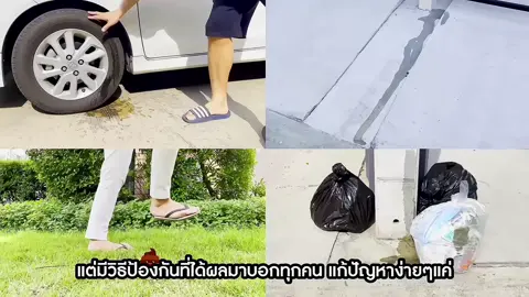 สเปรย์ขับไล่สุนัข ไล่แมวขับถ่าย ฟรี คู่มือการใช้งาน สอบถามได้ตลอดการใช้งาน  #Ca#CapCuty#fypi#tiktokshop