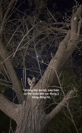 #fyp 