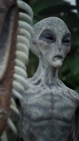 Une vie extra-terrestre parfaite. Vous devez prendre conscience de ça. Imaginez une planète quelque part dans l'univers, où les religions, les frontières et les guerres n'existent pas. Une planète où la vie se développe en harmonie avec la nature et les animaux. Dans l'immensité de l'univers, il est presque certain que de tels mondes existent. Maintenant, imaginez que les habitants de cette planète découvrent notre comportement ici sur Terre. Ils verraient que chaque minute, l'équivalent de trente terrains de football de forêt disparaît. Ils verraient que plus de trente-sept mille espèces sont menacées d'extinction. Ils verraient que nous nous faisons la guerre, pour des raisons de religion, de couleur de peau ou pour de l'argent. Que penseraient-ils de nous ? Comment jugeraient-ils notre capacité à vivre en harmonie ? Vous devez prendre conscience de notre unité sur cette planète que nous a offerte l'univers. Pour ceux qui cherchent le paradis, sachez que vous y êtes déjà, mais ce paradis peut devenir un enfer selon vos actes. #espace #galaxie #univers #cosmos #astronomie #apprendresurtiktok #apprendre #science #savoir #extraterrestre