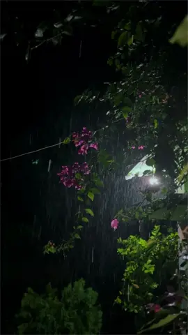 POV: বৃষ্টিতে তুমি খুঁজে পাও শান্তি 🌧️                                        .                                     ।                   #weather #foryou #trending #fyp #tiktokofficial #officialforyoupage #view #rain #strom #night #bdtiktokofficial🇧🇩 #virall #tiktok @TikTok @TikTok Bangladesh 