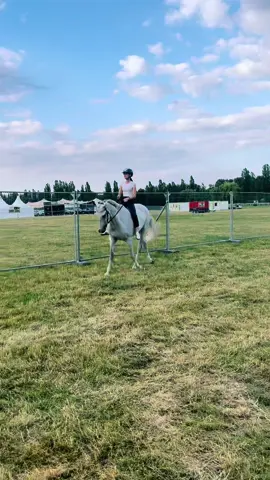 Bravo cagnetto #perte #equitazione #heartbeat #nicolecereseto ig: nicolecereseto