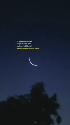 Wait for drop !❤️‍🔥  Ra sihinen (slow edit)  #fyyyyyyyyyyyyyyyy #100k #For_you #newsong #fyp #forvyou1 #fypage #fypシ゚viral #sinhalaquotes #quotes #tiktok #dropedit #pageforyou #sinhla_status_❤️💫 #slowedandreverb #newtrend #sinhalasong #trending #trendingsong #rasihinennubawaidutuwe #rasihinen #ekabalmen_ubama_valagakala 