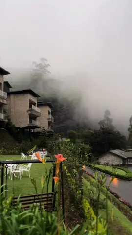 Highly recommend you add this to your Nuwara Eliya Bucket-list 🍃🤍                                                     📍The Golden Ridge                       #capcut #capcuttemplate #beautifulsrilanka🇱🇰 #nuwaraeliya #goldenridge #visitsrilanka #viral #fyp #traveltiktok 