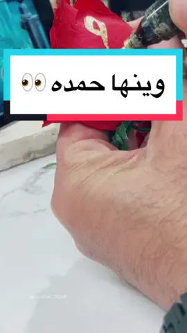 منشنوا حمده 👀🌹@... @حمده💗🇶🇦 @حمدههه🌺 @حمده ⚡️ @حمده❤🌹 @حمده🧕✨️📚 @حمده 🙇‍♀️ @حمده ارهيلم @حمده سعيد @حمده المالكي @حمده العنزي @حمده @حمده و حور 🥰 @حمده الزهراني @Hmdh💛🇦🇪 @حمده عبدالله عبد @حمده 755 #خطي #خط #حمده#الخطاط_وليد_النمي #صلوا_على_رسول_الله🤲🕋 #فلسطين🇵🇸 #اليمن #السعودية #كتابة_اسماء #كتابة_عالورد #اكسبلور_تيك_توك #طلباتكم 