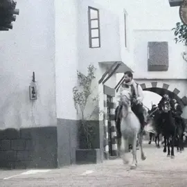 الزيبق😮‍💨🩶#خاتون #باب_الحارة #مسلسلات_سورية #بلاورد⚜️ #fyp #foryou #viral #explore #2024 