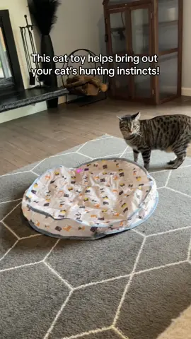 We 10/10 recommend this toy! She loves it and keeps her active! #cats #cattoy #funny #cute #hunting 