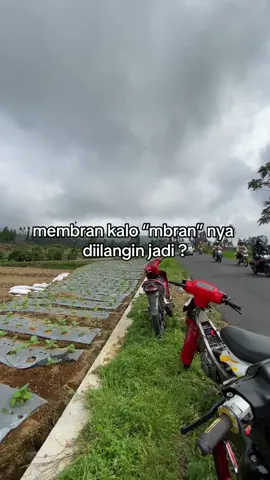 jadi gamon yaa?😄#fypp #2strokelover #fizr_2stroke #gamon? 