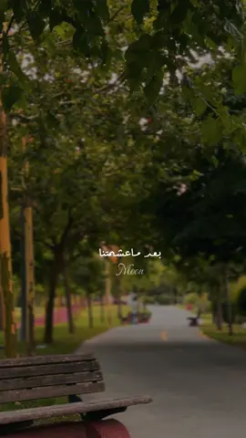 لما بتدي حاجات قوام بتاخد حاجات ✨👌🏻#moon #اكسبلور #اليسا #اواخر_الشتا #تصويري📸 #مشاهير_تيك_توك #Sing_Oldies #ستوريات #الشعب_الصيني_ماله_حل😂😂 #مالي_خلق_احط_هاشتاقات #طبيعه #حنين #elissa #fyp 