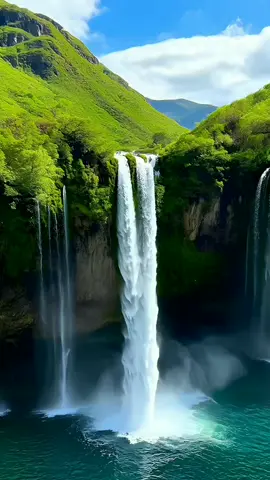 Nature life ☀️ #nature #natureza #natur #natural #naturetiktok #forest #green #water #waterfall #fall #music #musica #landscape #photography #video #trend #trending #viralvideo #viraltiktok #fy #fypage #fyppppppppppppppppppppppp #fypdongggggggg #fypp #fypviral 