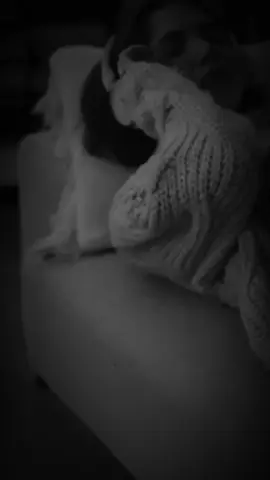 🖤✨️ . . #مجرد_ذووقツ🖤🎼 #تصاميم_فيديوهات🎵🎤🎬 #ستوريات #fyp #f #foryou #fypage #foryoupage #tiktok #viral #🥀 