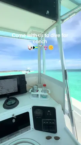 So many conch 🐚 #bahamas #florida #conch #summer24 #fyp #freediving #freediving #freestyle #boatthings #bahamas🇧🇸 #yeti @morgannn 