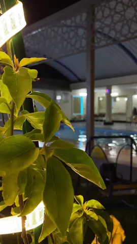 My family🤍🤏🏻#بساتين #سفرة #بلد #اليسا #عيشالك #صلاح_الدين #موسيقى #ونسة #سفرة_سفوري #اغاني #تصويري #capcut #foryou #fyp #viralvideo #viral #لايك #فولو 