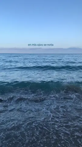 . . . #badbunny #viral #fyp #foryou #parati #paratodos #destacame #viralllllll #sacameenparati #tiktok #volandoremix🎶