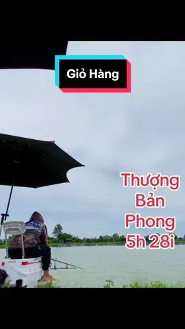 Thượng Bản Phong 5h 28i , chuyên Hố Đấu , bảo hành 1 năm không giới hạn Lóng thay thế #docaucoye #cancaudai 