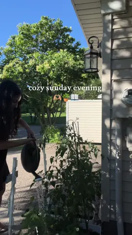 peaceful evenings 💌 #sunday #sundayreset #eveningvibes #gardening #garden #BookTok #foryou #foryoupage 