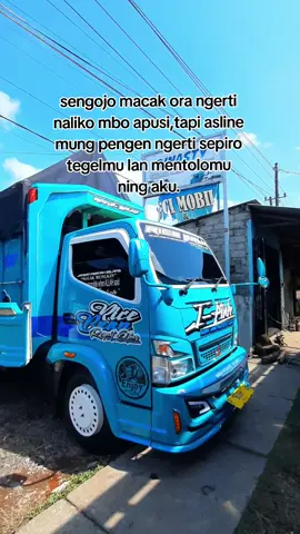lain kali nek main mburi seng ati²..wkwkwk🤪👋#fypdongggggggg #andyana4774 #drivermudapunyacerita #katakatadrivermuda #racebranteam @asepta51 