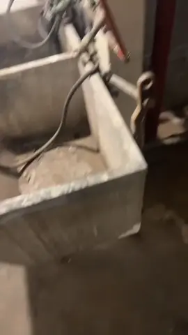 thought it was a river croc