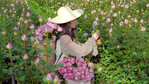 Bốn mùa yêu hoa #flower #trending #florist 