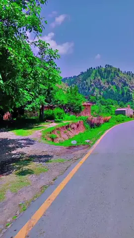 NarHow area in Tirah Midan Valley  #tiktok #foryou #fyppppppppppppppppppppppp #viral #viralvideo #tirah #tirahvalley #newtrend 