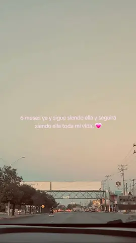 Medio año ya, en verdad la amo demasiado, quiero durar toda mi vida con ella, es el amor de mi vida, mi linda princesita 💗 #viral #fyp #parati #amoaminovia  