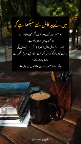 PEER_E_KAMIL #anotheraccount#bibbliophile📚#contentcreator#CapCut#novelsworld🌎🦋#salarsikander♥️#poetryenthusiast#novelslover📖#inshot_edit#fyppppppppppppppppppppppp 