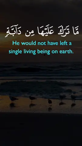 #ولو_يؤاخذ_الله_الناس_بظلمهم #ما_ترك_عليها_من_دابة #خالد_الجليل #قوالب_دينية #قوالب_كاب_كات #قالب_قران_الكريم #qurantemplate 